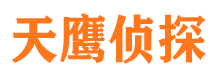 玄武市私家侦探